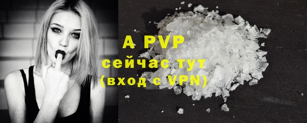 дмт Заводоуковск