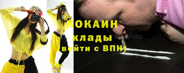 дмт Заводоуковск