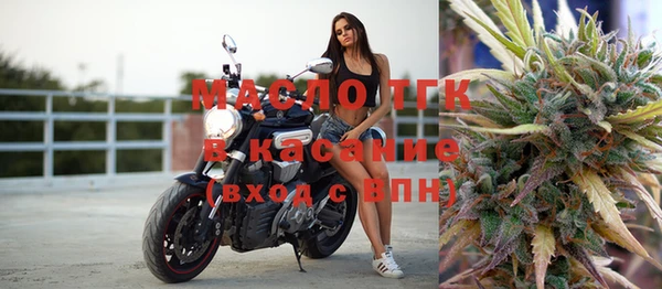 дмт Заводоуковск